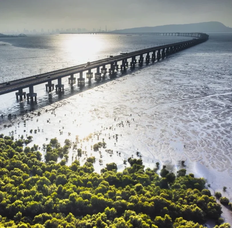 House of Abhinandan Lodha Naigaon East